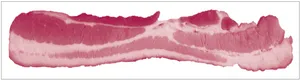 Raw Bacon Strip PNG Image