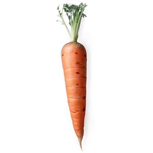 Raw Carrot Png 11 PNG Image