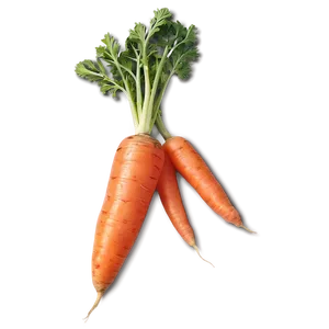 Raw Carrot Png Rrw45 PNG Image