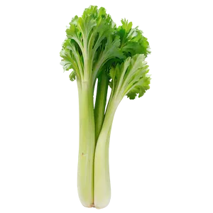 Raw Celery Png Mxk PNG Image