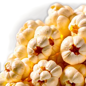 Raw Popcorn Kernel Png 06292024 PNG Image