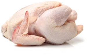 Raw Whole Chicken Isolated.png PNG Image