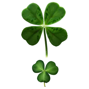 Real Four Leaf Clover Png Nyu16 PNG Image