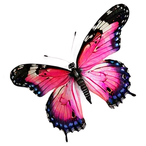 Real Pink Butterfly A PNG Image