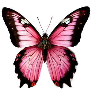 Real Pink Butterfly D PNG Image