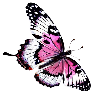 Real Pink Butterfly Png Tct79 PNG Image