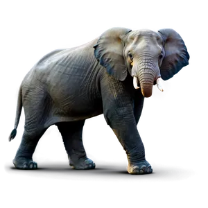 Real Wildlife Adventure Png Mie PNG Image