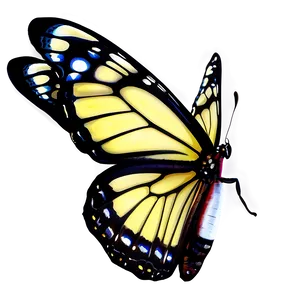 Realistic 3d Butterfly Image Png 06292024 PNG Image