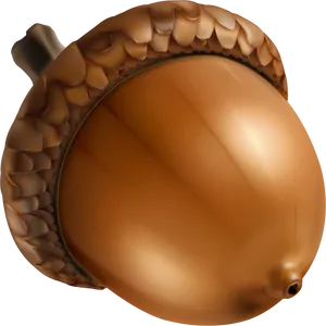 Realistic Acorn Illustration PNG Image