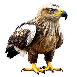 Realistic Aguila Png 59 PNG Image