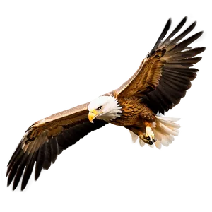 Realistic Aguila Png Kbr17 PNG Image