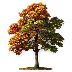 Realistic Autumn Tree Png Xln14 PNG Image