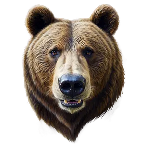 Realistic Bear Head Sketch Png 06292024 PNG Image