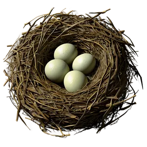 Realistic Bird Nest Png 06212024 PNG Image