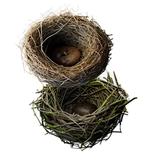 Realistic Bird Nest Png Iow54 PNG Image