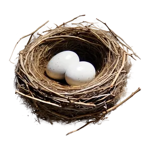 Realistic Bird Nest Png Srg PNG Image