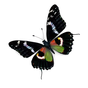 Realistic Black Butterfly Image Png Hgc63 PNG Image