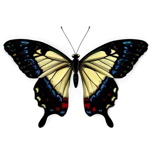 Realistic Black Butterfly Image Png Hpw83 PNG Image