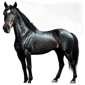 Realistic Black Horse Drawing Png 06262024 PNG Image