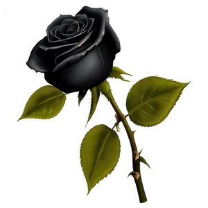 Realistic Black Roses Png Mbn PNG Image