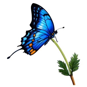 Realistic Blue Butterflies Png 44 PNG Image