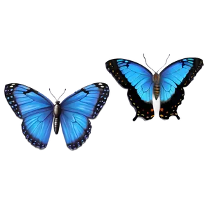 Realistic Blue Butterflies Png Qms PNG Image