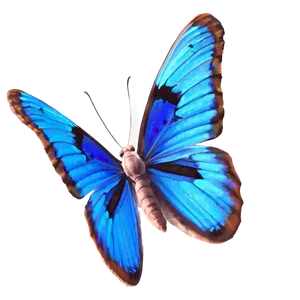 Realistic Blue Butterfly Image Png 31 PNG Image