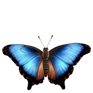 Realistic Blue Butterfly Image Png 48 PNG Image