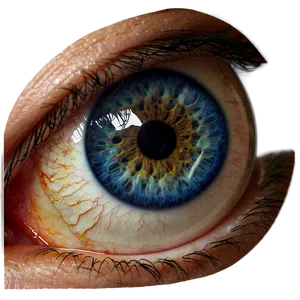 Realistic Blue Eyes Png 06122024 PNG Image