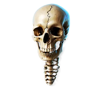 Realistic Bones Png 12 PNG Image