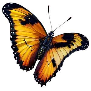 Realistic Butterfly Png 06262024 PNG Image