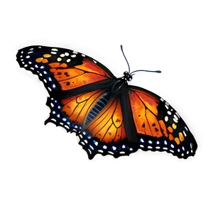 Realistic Butterfly Png Xao PNG Image