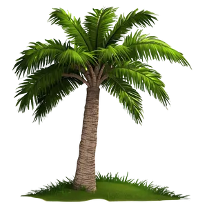 Realistic Coconut Tree Png 87 PNG Image