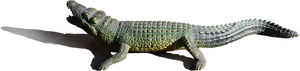 Realistic Crocodile Model PNG Image