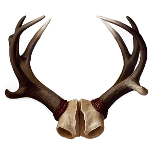 Realistic Deer Antler Drawing Png Fvr PNG Image