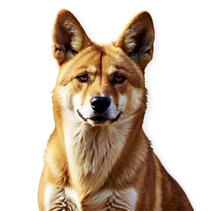 Realistic Dingo Art Png 06202024 PNG Image