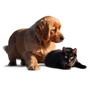 Realistic Dog And Cat Png Ejo95 PNG Image