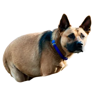 Realistic Dog Face Drawing Png Ycf4 PNG Image