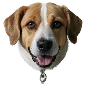 Realistic Dog Transparent Png 44 PNG Image