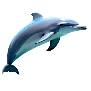 Realistic Dolphins Png 06112024 PNG Image