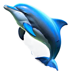 Realistic Dolphins Png Vem PNG Image