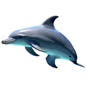 Realistic Dolphins Png Whd9 PNG Image