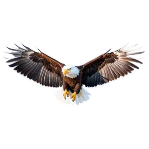 Realistic Eagle Wings Drawing Png 06262024 PNG Image