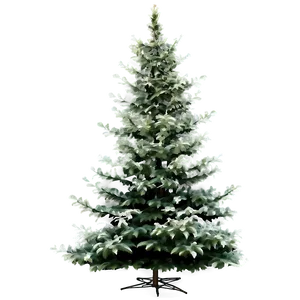 Realistic Evergreen Tree Png Iek PNG Image