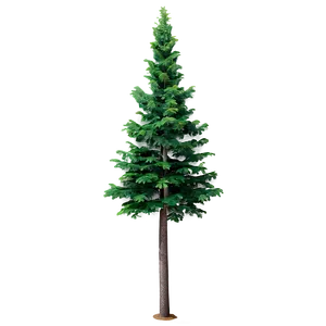 Realistic Evergreen Tree Png Soh17 PNG Image