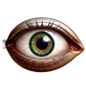 Realistic Eye Drawing PNG Kpo54 PNG