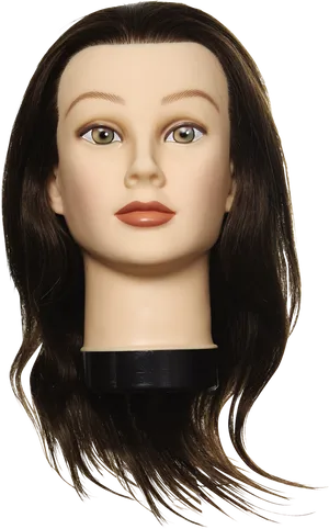 Realistic Female Mannequin Head With Hair PNG Image