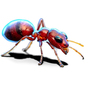 Realistic Fire Ant Art Png Yjx PNG Image