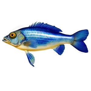 Realistic Fish Transparent Png Ual PNG Image