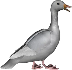 Realistic Goose3 D Model PNG Image